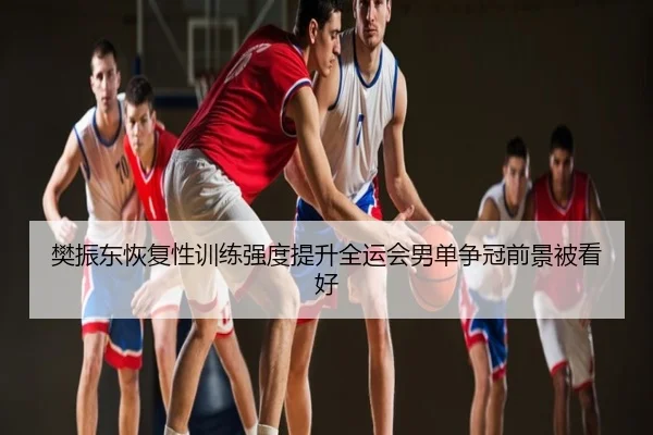 樊振东恢复性训练强度提升全运会男单争冠前景被看好
